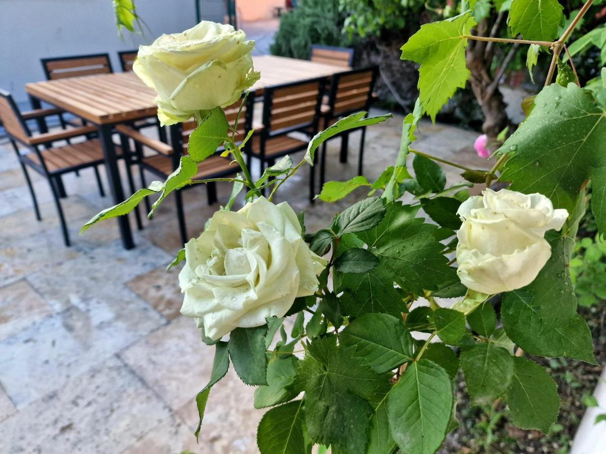 Premium Apartment Alba Rosa Сплит Экстерьер фото